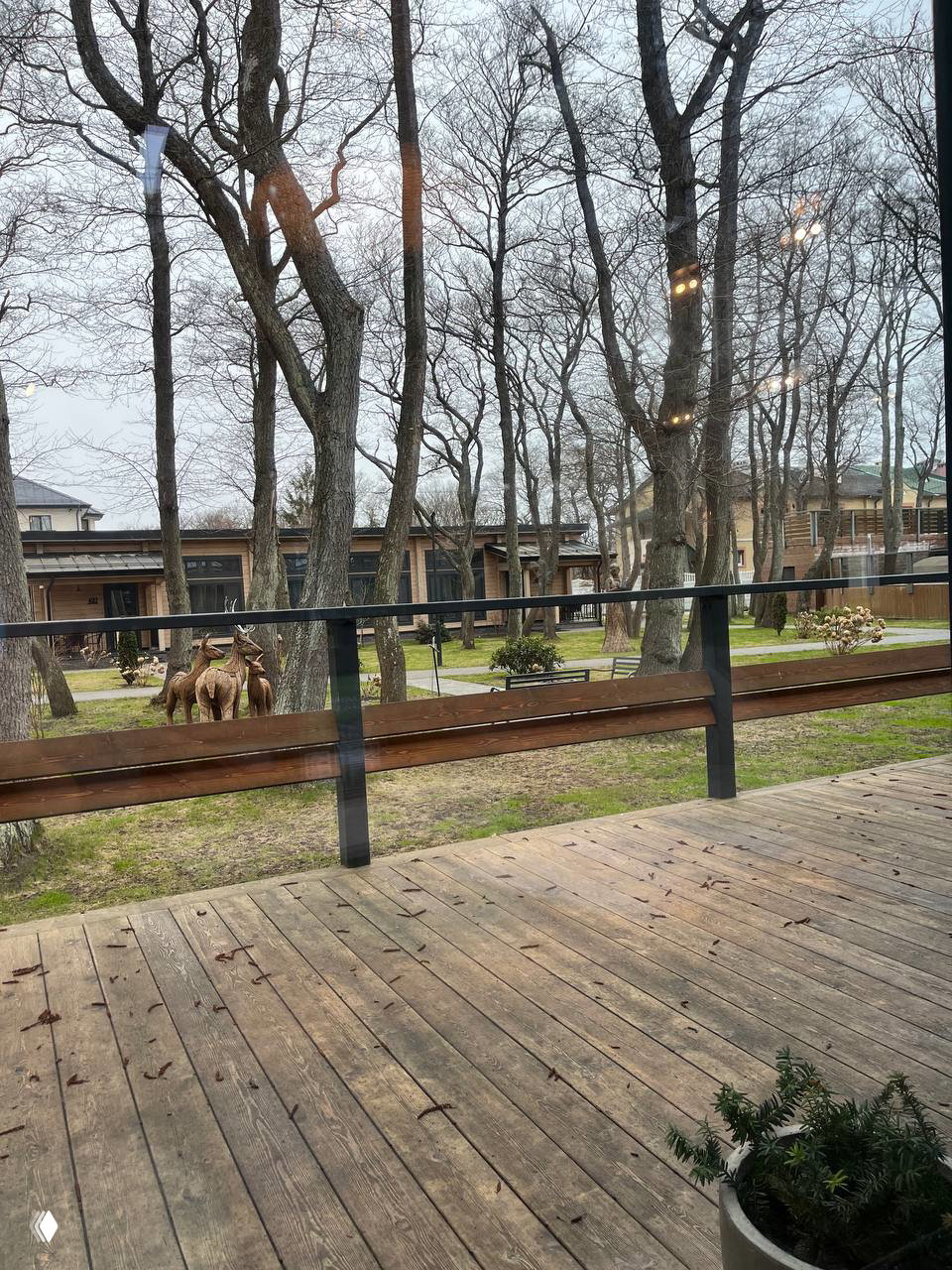 Вид через окно на деревянные корпуса и голые деревья рядом с рестораном на Куршской косе, с деревянным настилом на веранде.