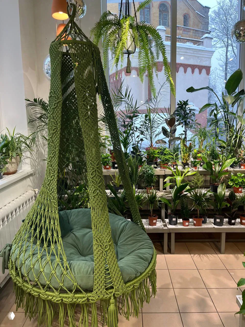 Зелёное подвесное кресло-макраме на фоне витрины с множеством горшечных растений и видом на парковую зиму за окном Амалиенау