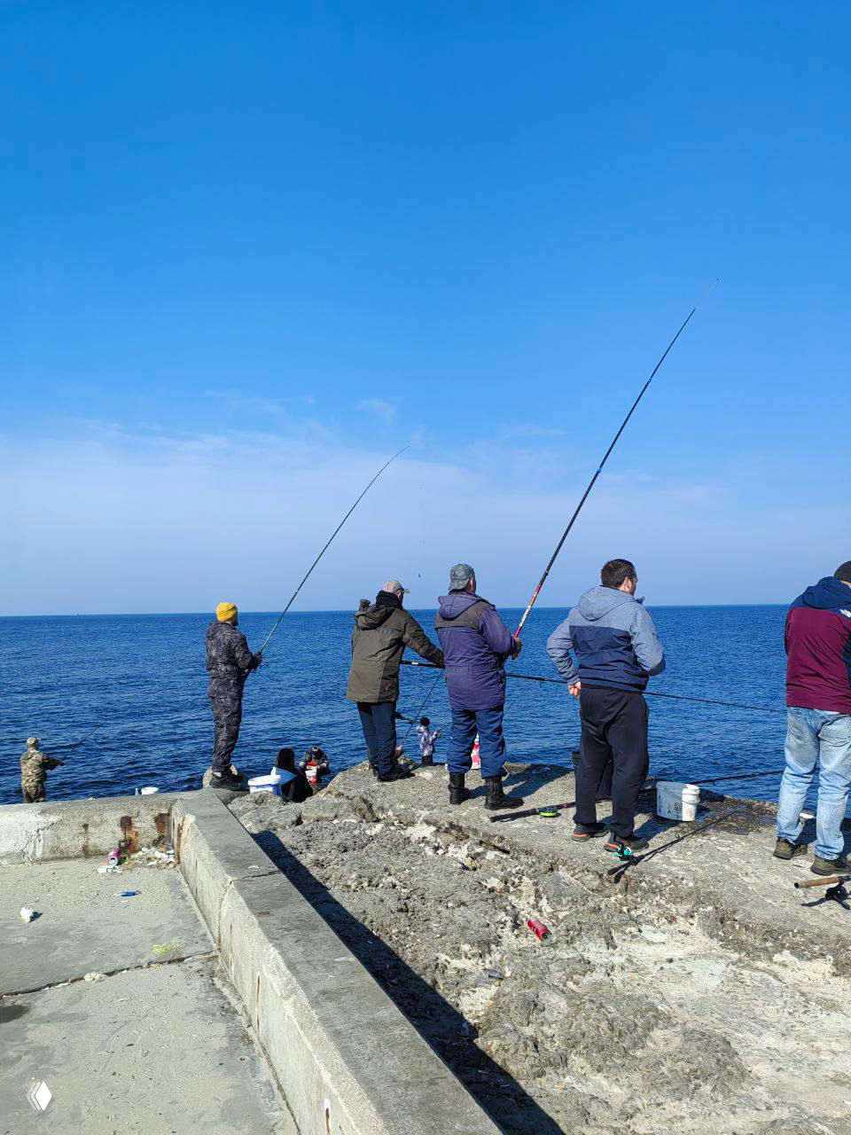 Балтийская сельдь и форшмак на Северном молу