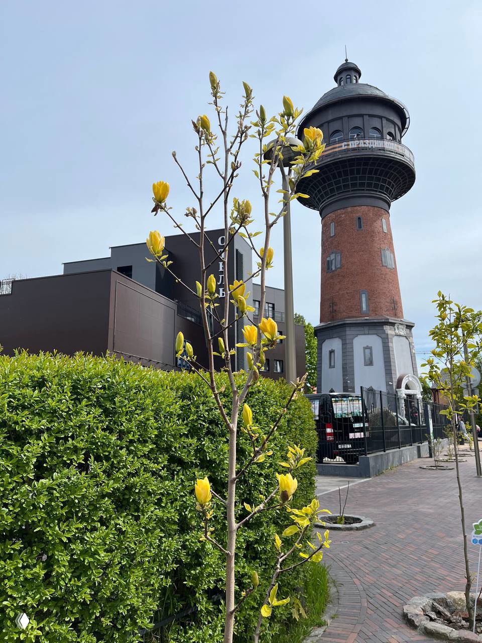 Музей «Мурариум» в Зеленоградске