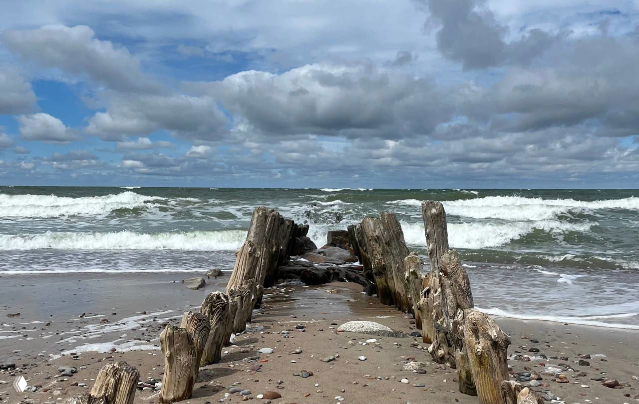 Остатки деревянного пирса или волнолома на песчаном берегу: обточенные временем брёвна, прибой и облачное небо в прибрежной зоне.