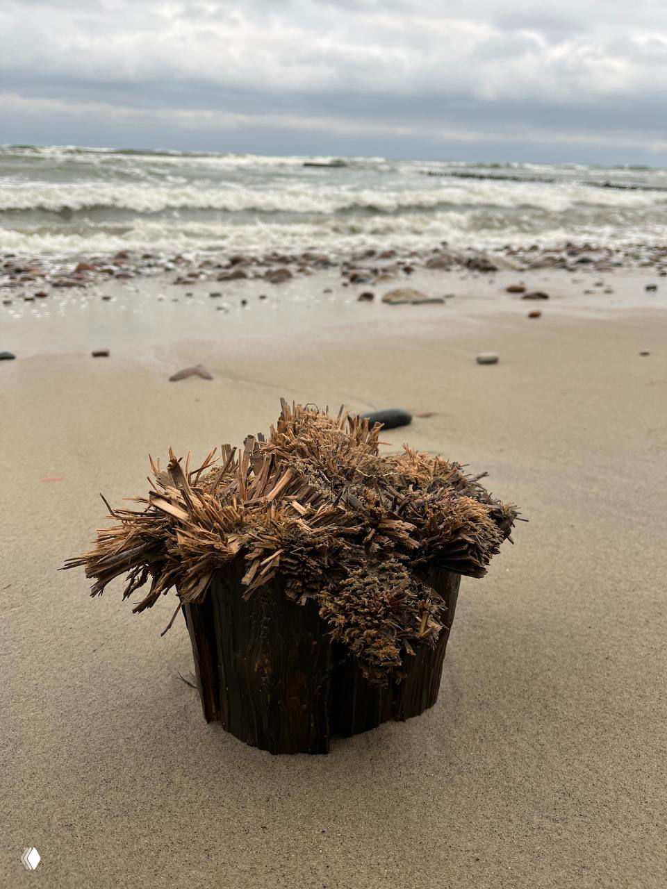 Кусок старого древесного столба с ветвистой корневой структурой лежит на мокром песке, на фоне пенного прибоя и морского горизонта.