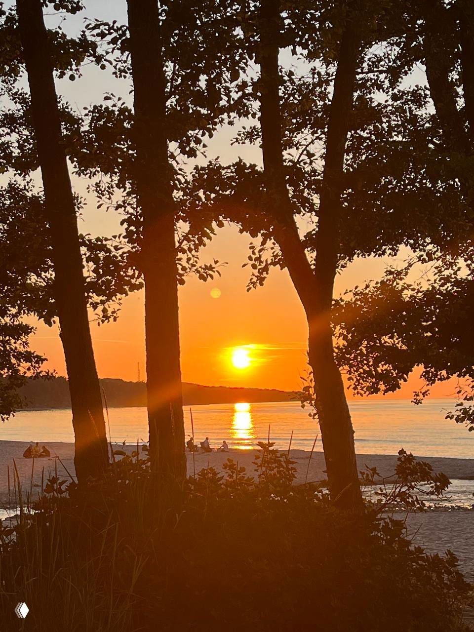 Закат над прибрежной полосой Балтики: силуэты деревьев на переднем плане и золотое солнце, опускающееся над гладью моря и пляжем.