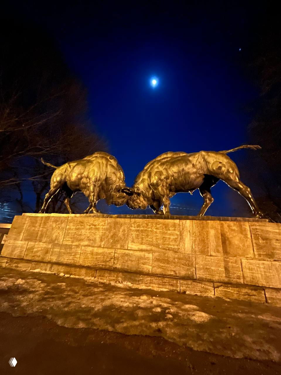 Скульптура Борящиеся зубры вечером