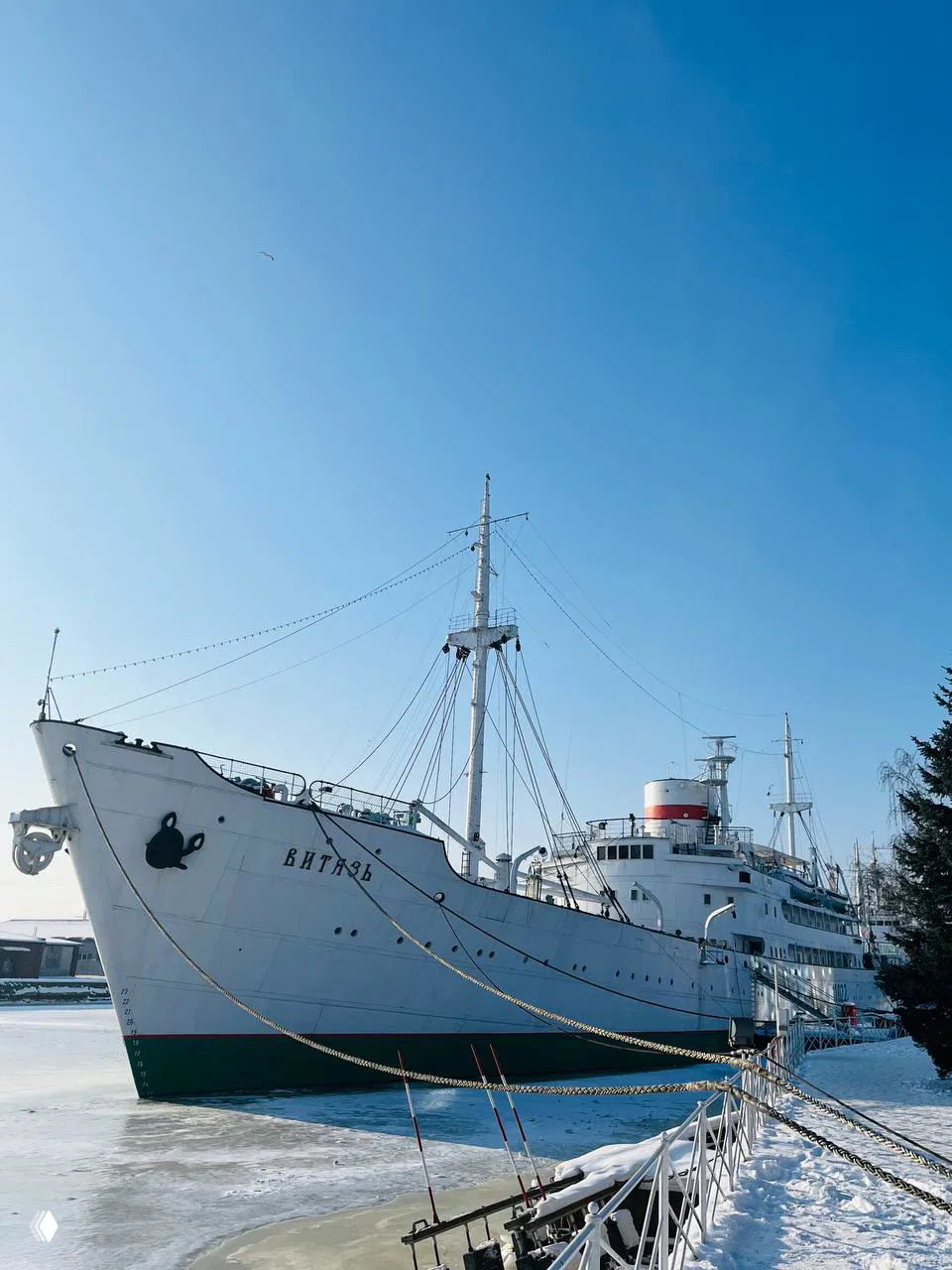 Белый учебно‑научный корабль «Витязь» у промёрзшего причала, канаты на льду и широкий голубой зимний небосвод над бухтой.