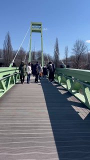 Пешеходы идут по деревянному настилу зелёного моста, ведущего на Остров Канта в Калининграде; перила, проходящие люди и ветвистые деревья на фоне.