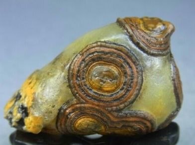 Необработанный кусок агата с концентрическими кольцевыми слоями и выраженными орбитальными узорами, показывающий природную слоистость