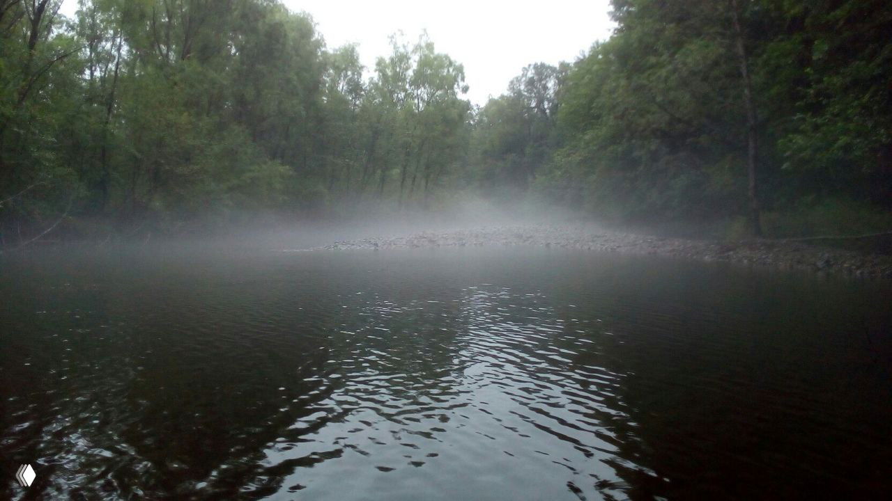 Утренний или вечерний туман над спокойным участком реки, низкая линия тумана между водой и береговой полосой леса, атмосферная сцена экспедиции.