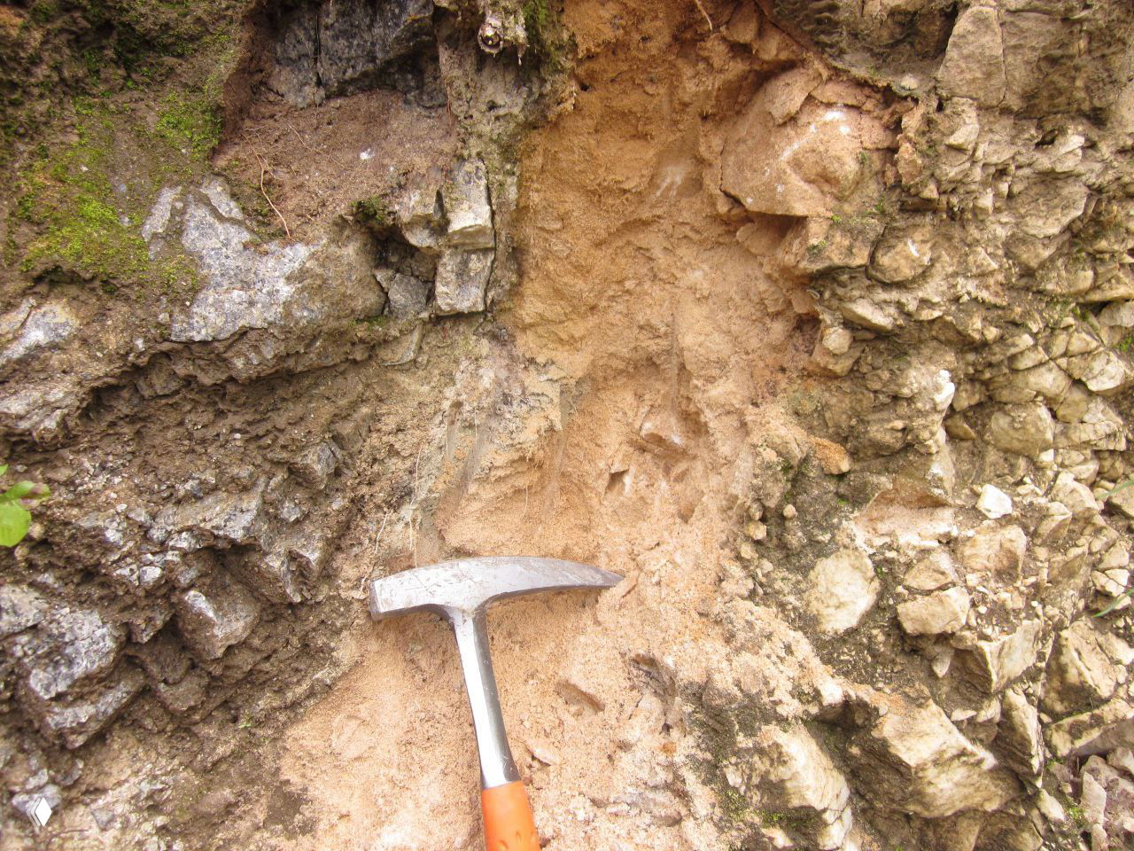 Зачем природе дефициты и лишения?