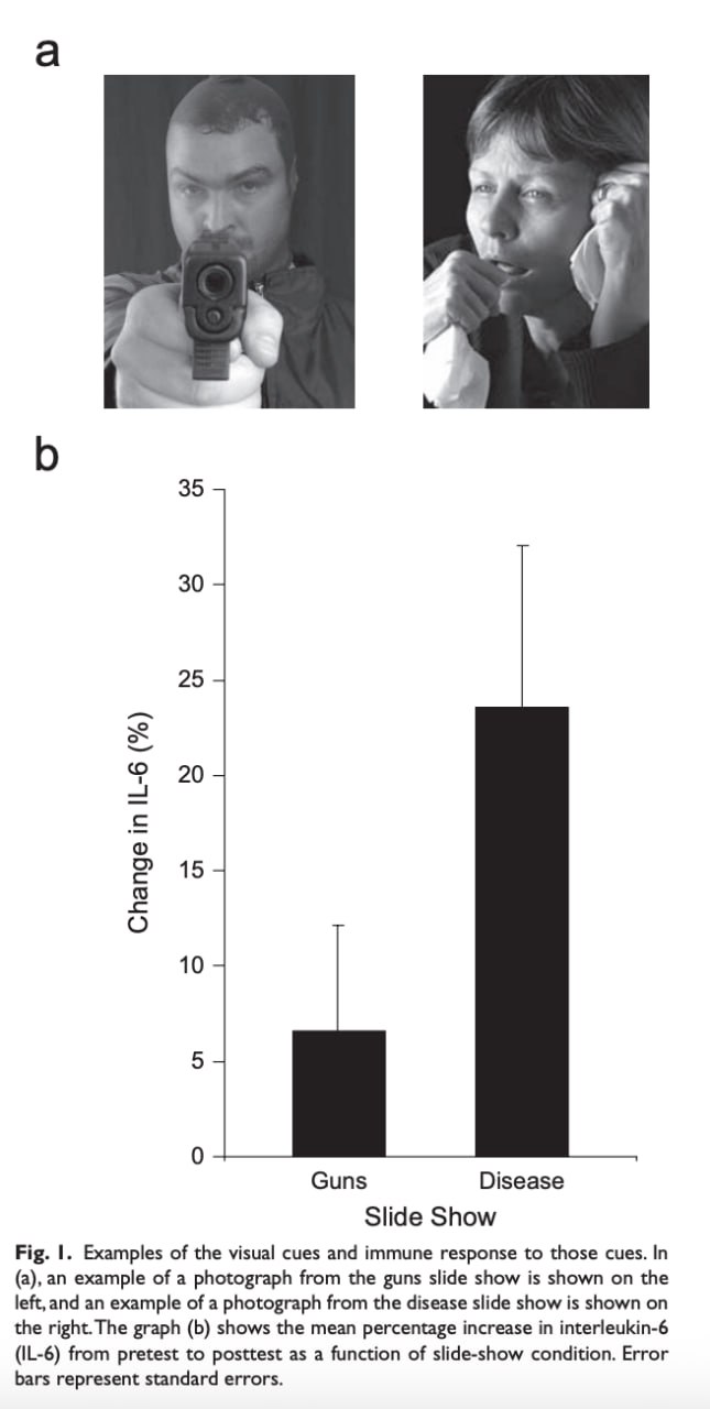 Изображение больного активирует иммунный ответ