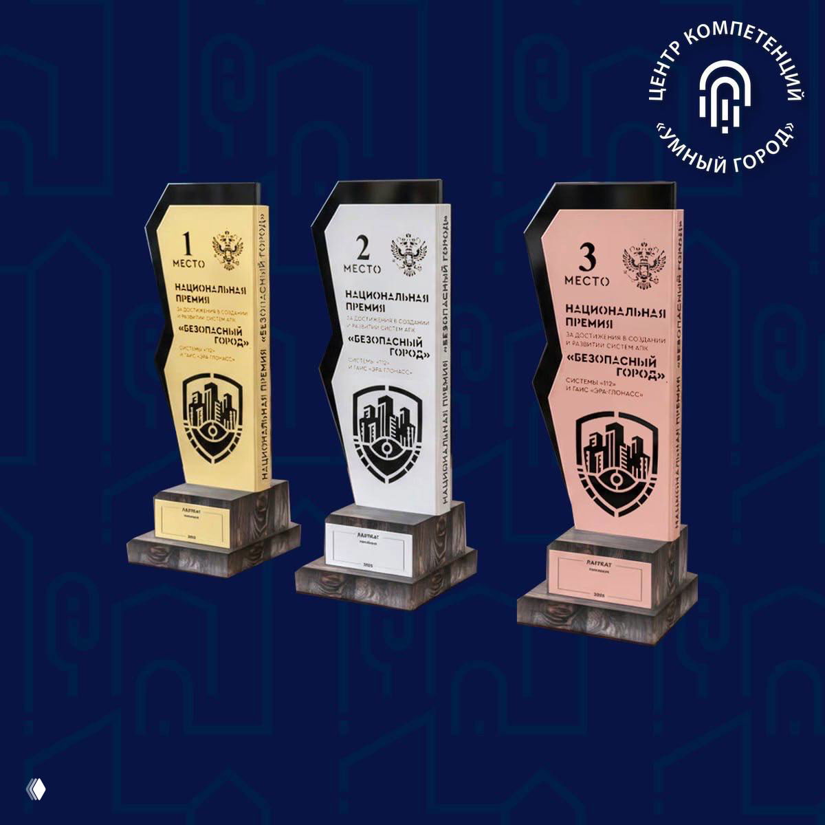 Рязанская область — лауреат премии «Безопасный город»