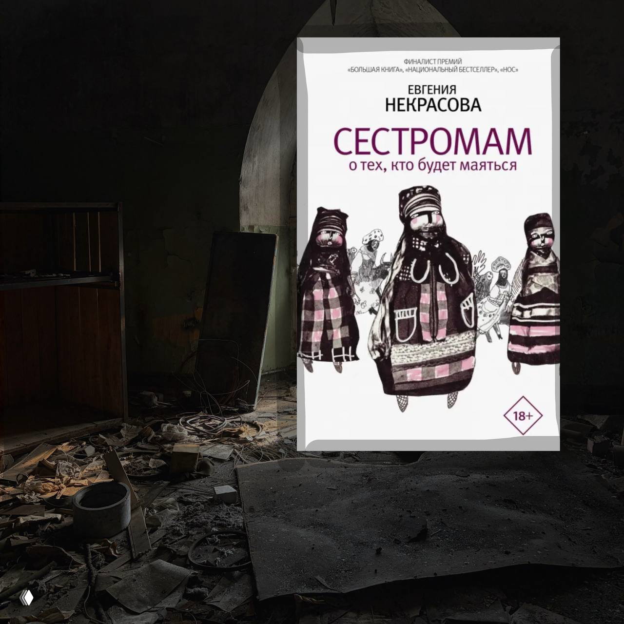 «Сестромам. О тех, кто будет маяться», Евгения Некрасова