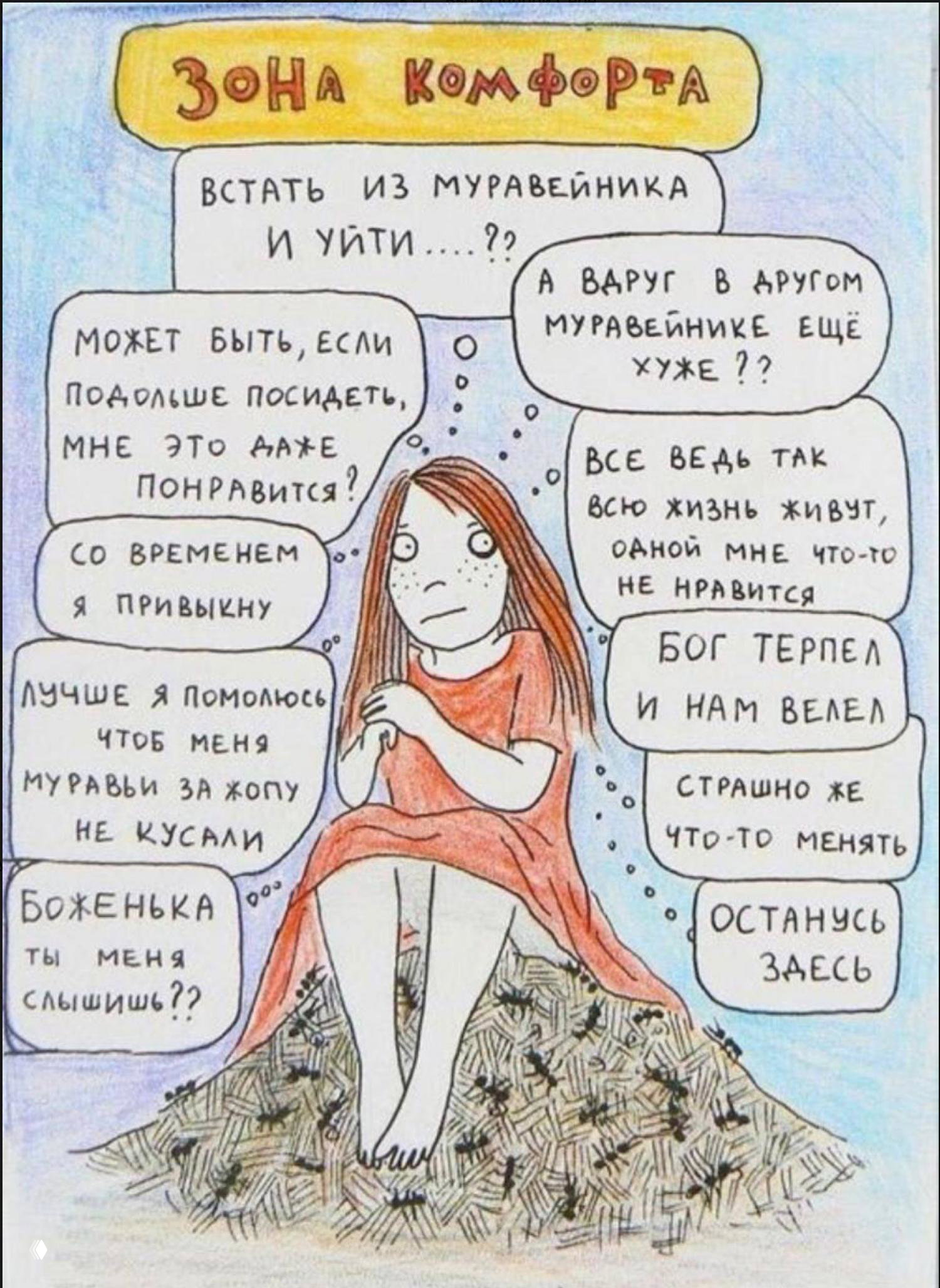 Когда зона комфорта — это муравейник