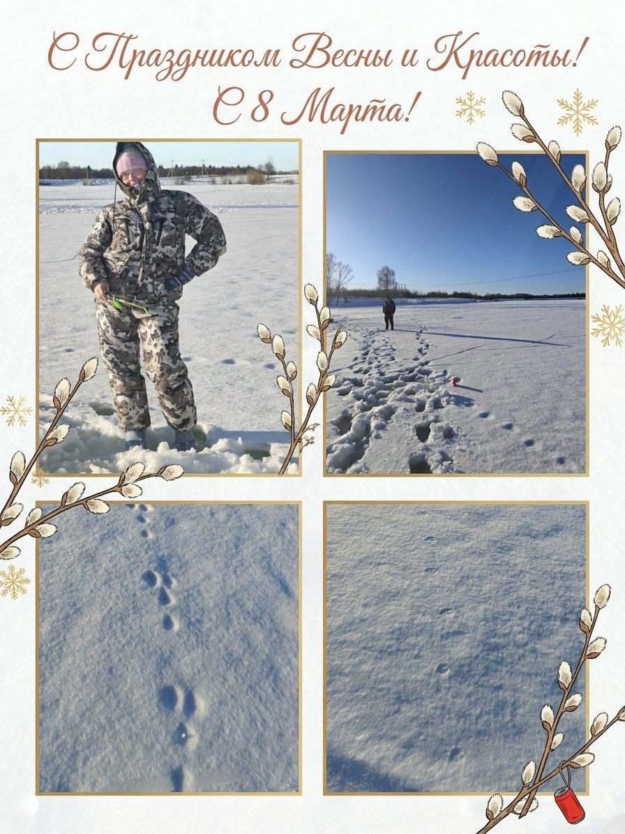 Кому‑то цветы, а кого‑то на зимнюю рыбалку.