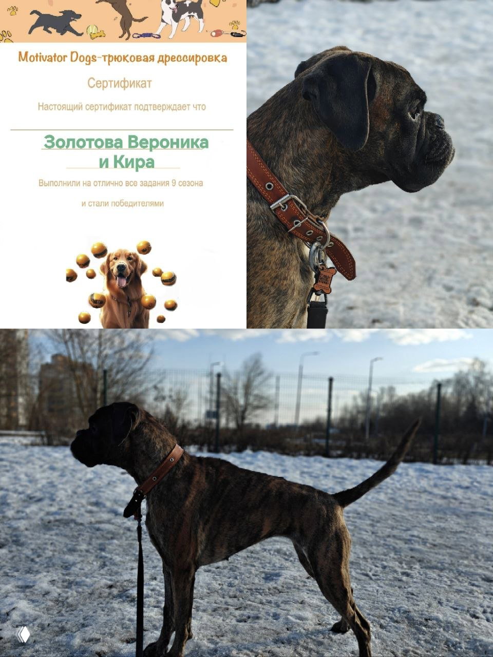 Ставить цель, идти, падать, встать — выиграли