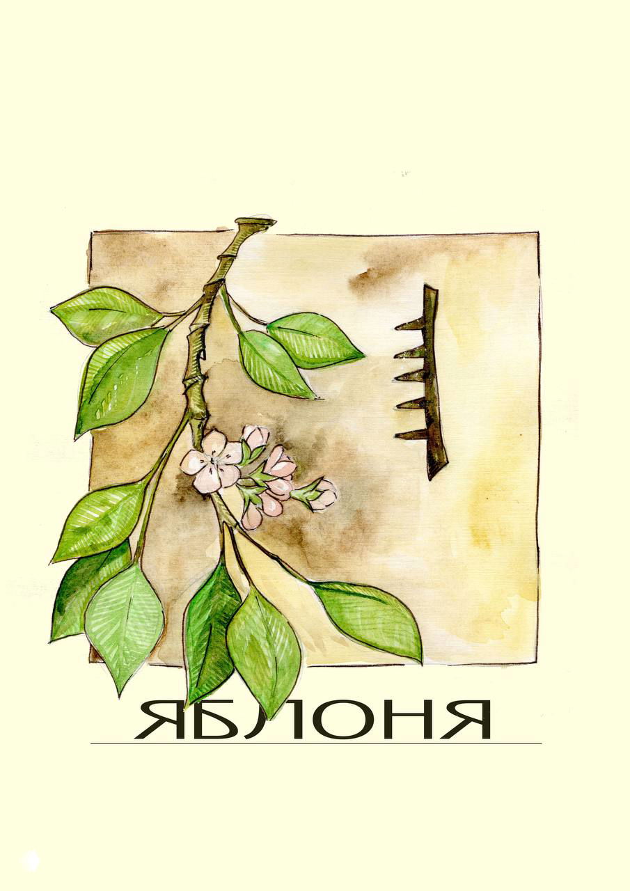 Глава 10. Яблоня и десятая Феда - Quert