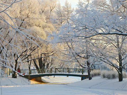 Одиночество в толпе — симптом разрыва связи с природой