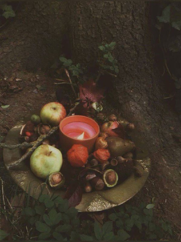 Ритуалы благодарности природе: простые способы