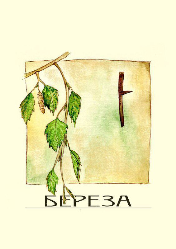 Beith (Берёза) — врата к новому