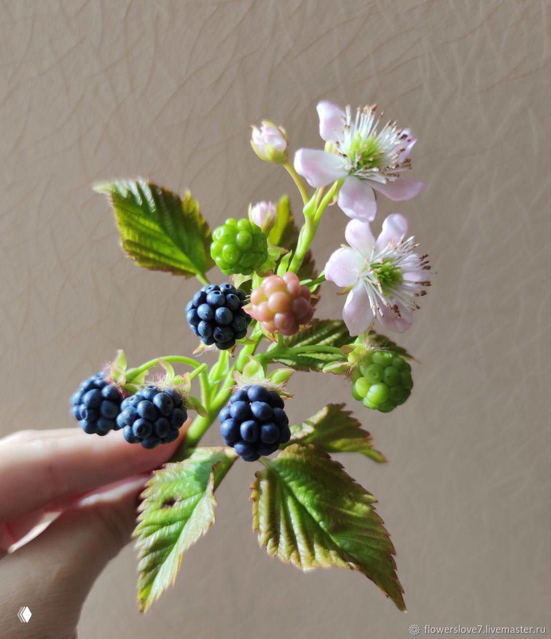 Вибрационная эссенция ежевики — дар друидов