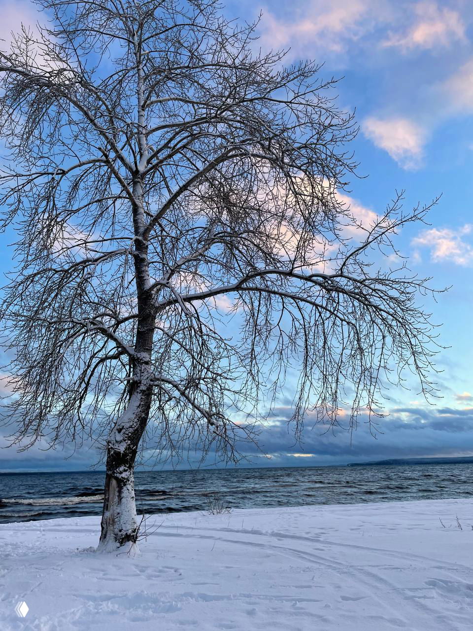 Древние пути Огама продолжаются