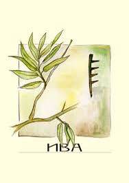 Глава 4. Дятел и четвёртая Феда — Ива