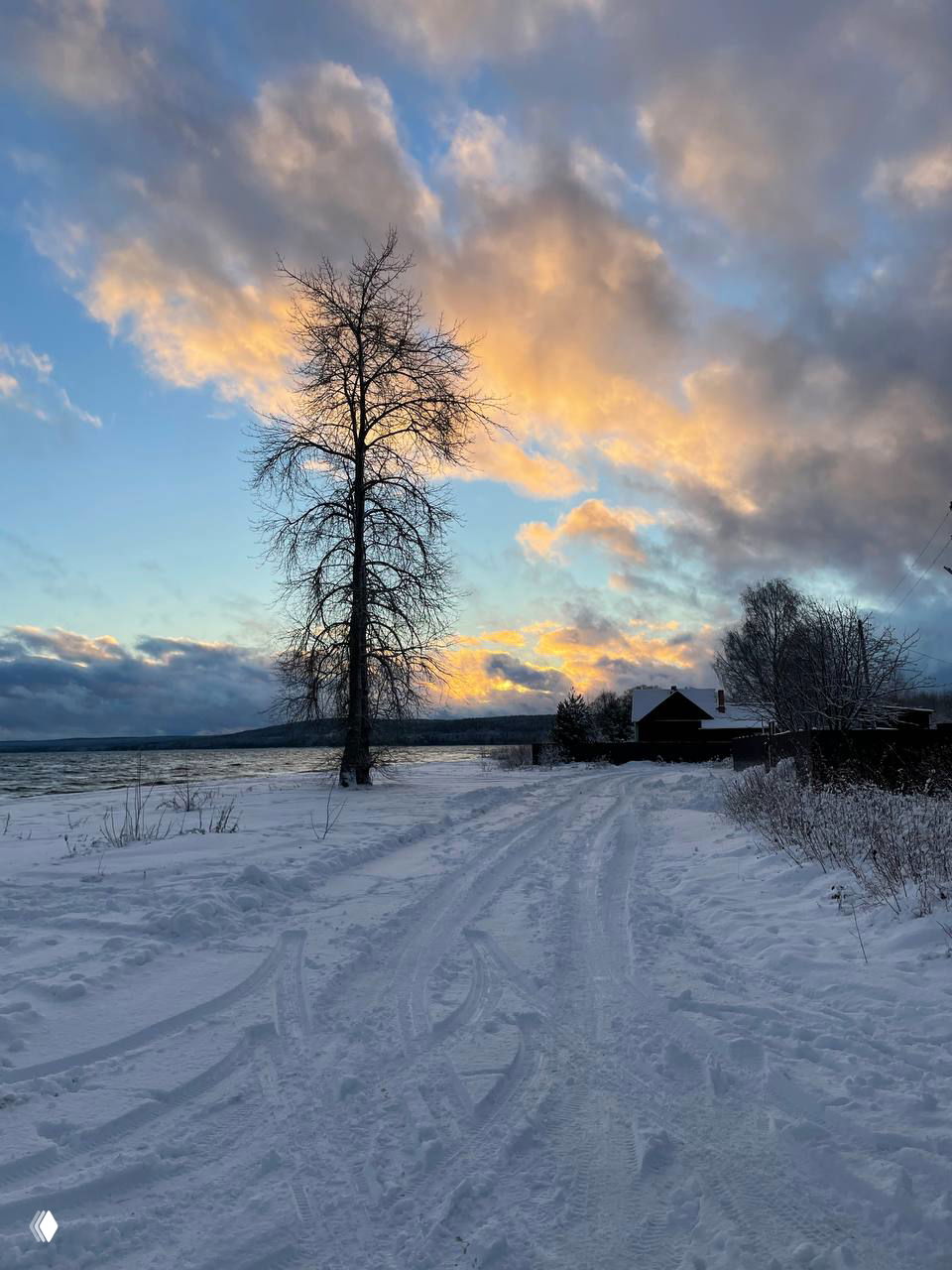 Мудрость природы в эпоху технологий