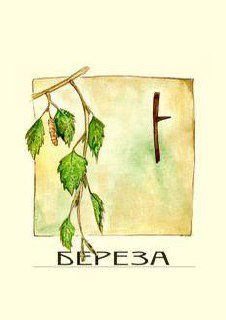 Азбука Огам: Феда Берёза (Beith)