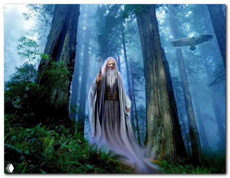 Третий закон друидов: закон причины и следствия