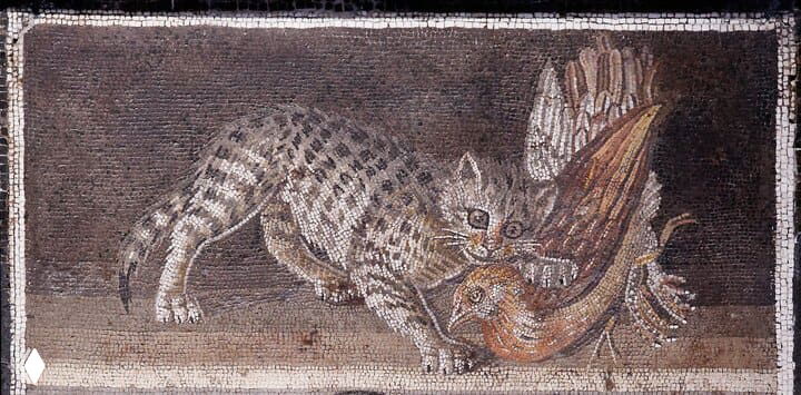 Фрагмент античной мозаики: кошка ловит птицу или добычу, динамичная сцена древнего римско‑греческого искусства с детализацией лап и перьев в композиции.
