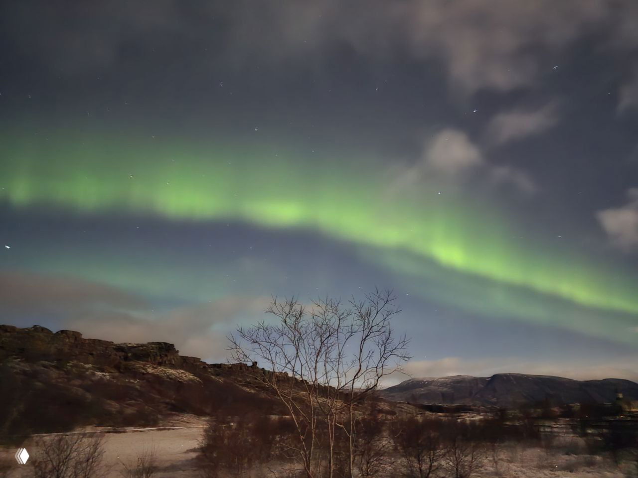 Широкая зелёная полоса северного сияния над заснеженной долиной и одиноким деревом на переднем плане, тёмные горы на заднем плане.