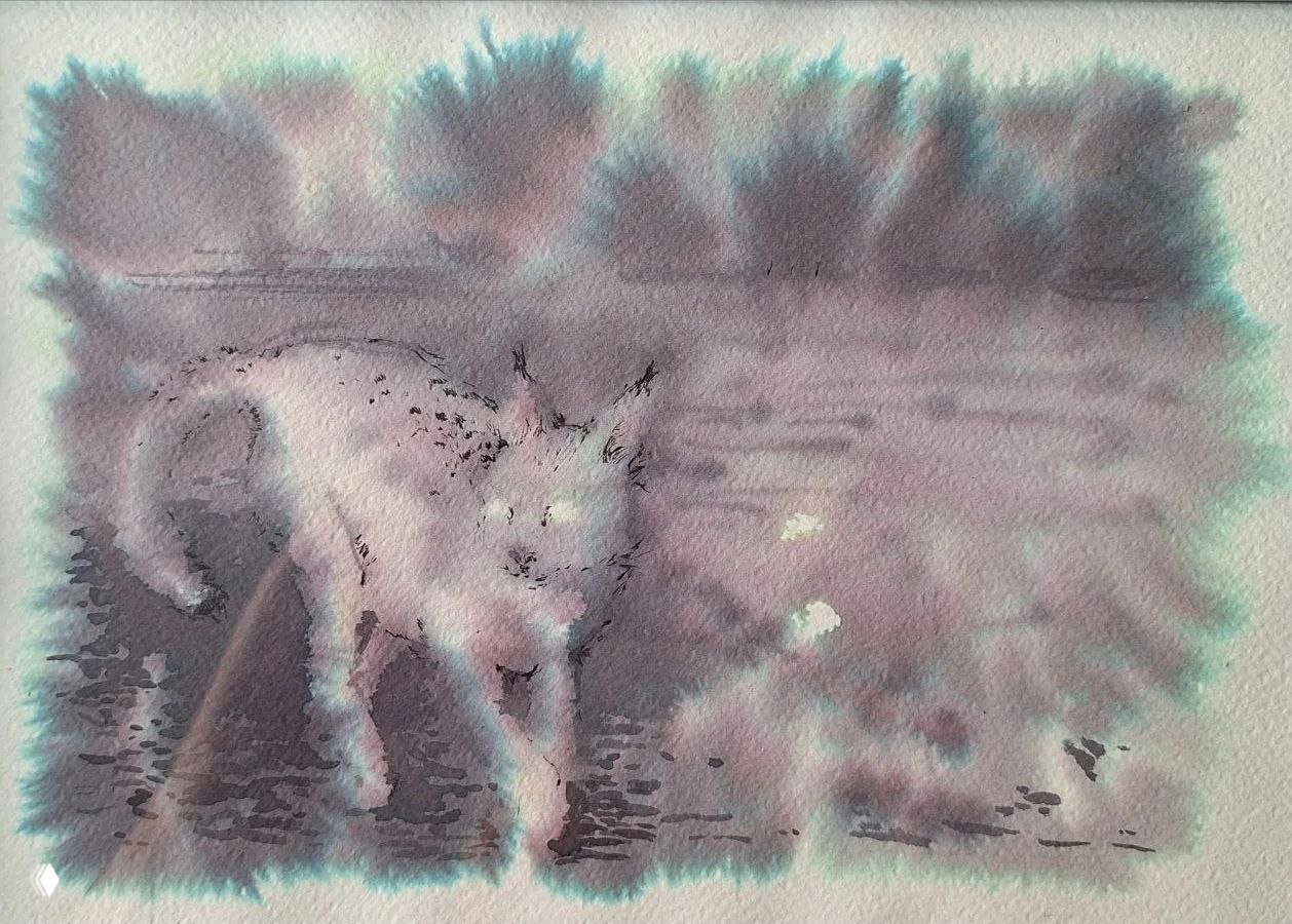 Акварельное изображение рыси — работа Полины Крутовой: мягкие разводы краски, силуэт хищника и текстура бумаги на крупном плане.