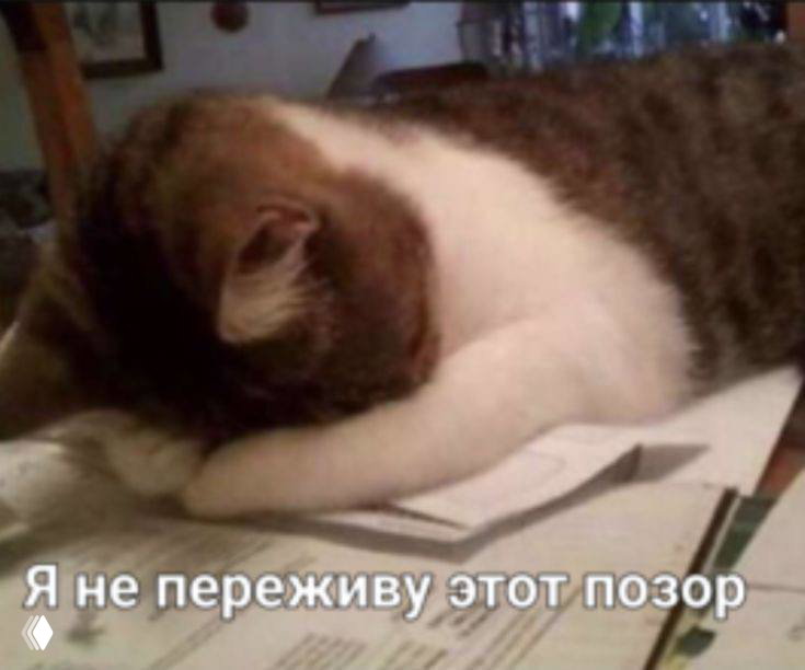 КАК ПРАВИЛЬНО ПРОЖИВАТЬ СТЫД? (часть 2)