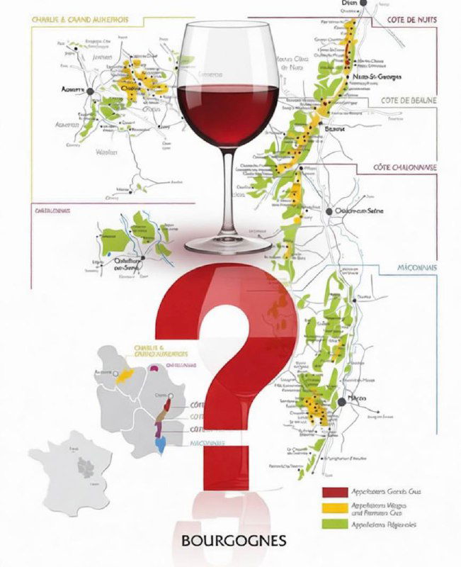 Квиз по вину: проверка чувства нюансов