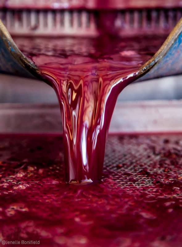 Фотоконкурс Louis Jadot — «Винный фотограф года»