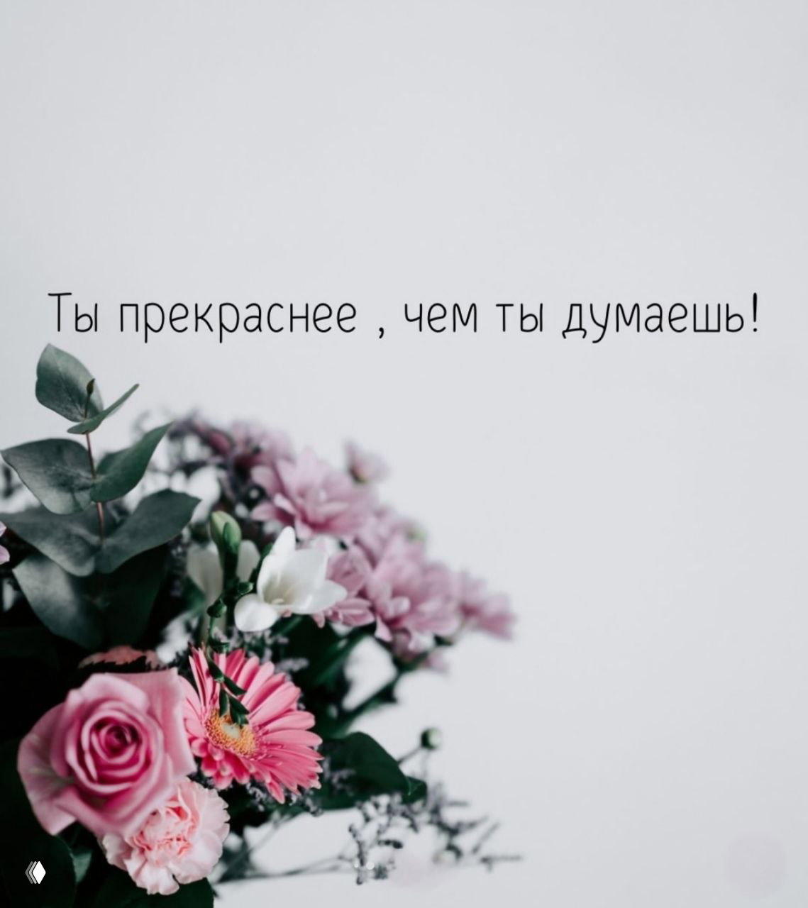 Карточка с букетом роз и зеленью на светлом фоне и надписью «Ты прекраснее , чем ты думаешь!», тёплое мотивационное изображение.