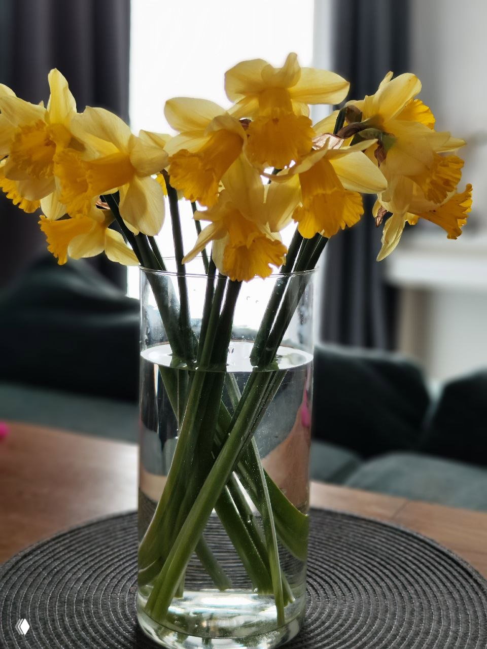 Нарциссы и традиция нежности к себе
