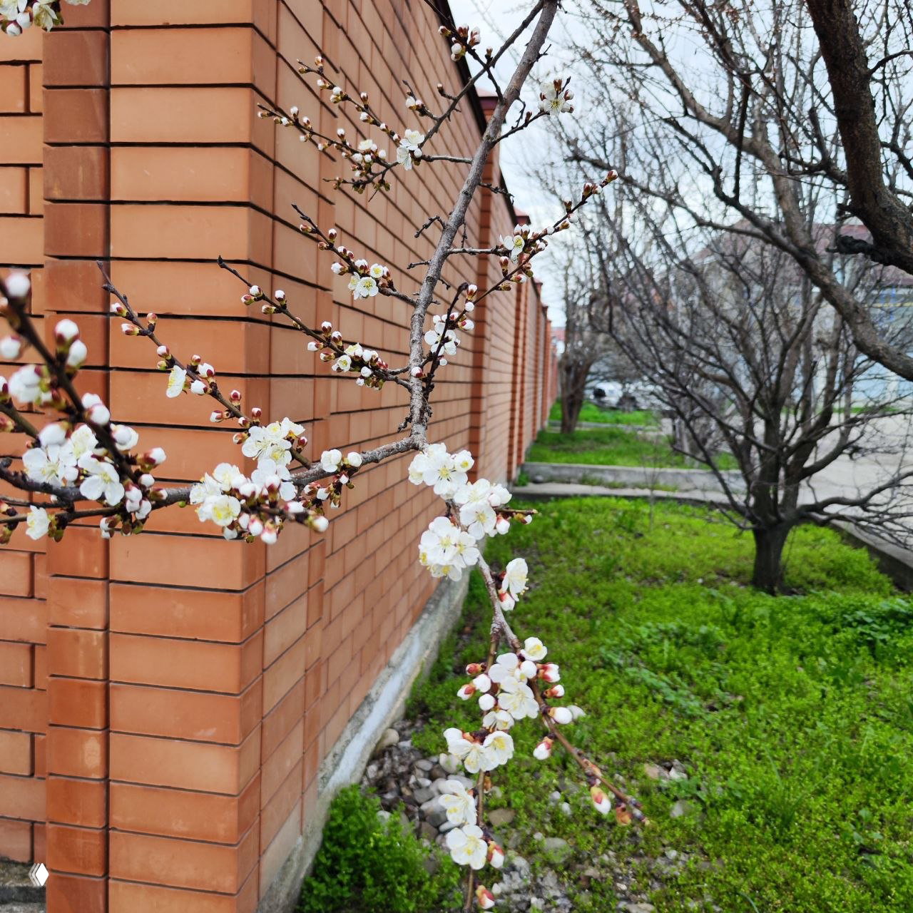 Когда рабочая неделя позади и ты как выжатый лимон