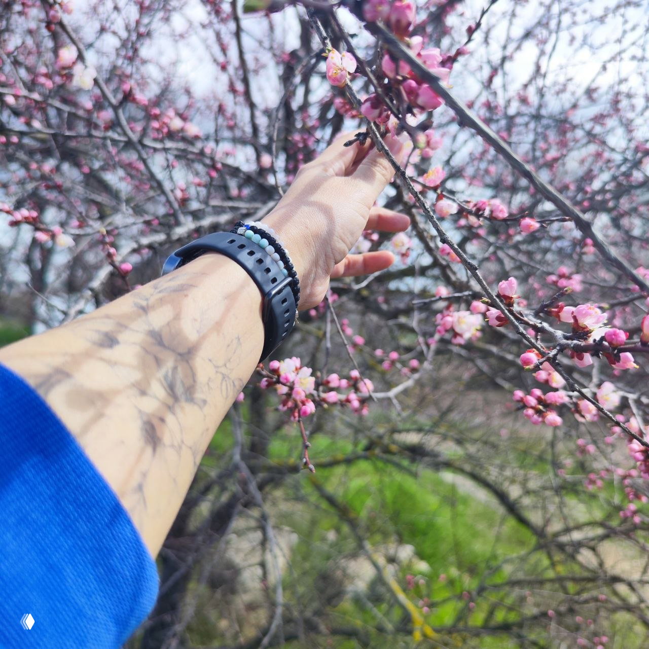 Исцеление через контакт и взросление