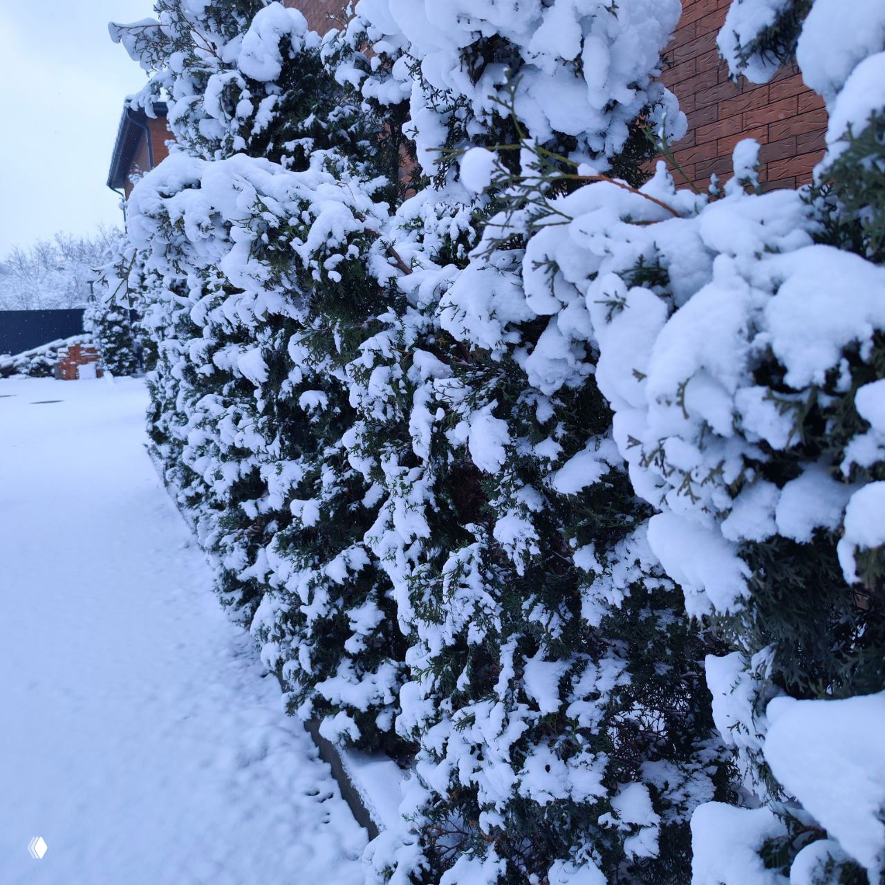Простой план, как влюбиться в свою жизнь