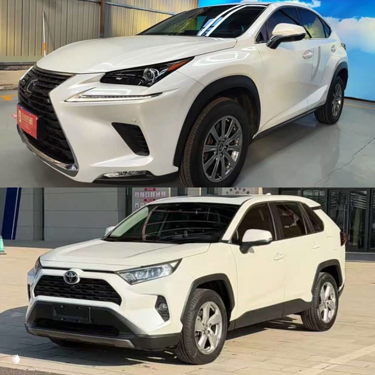 Lexus NX200🆚RAV4