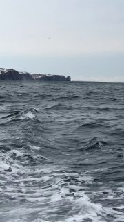 Океанская поверхность у берегов Камчатки: волны, следы от лодки и прибрежные скалы в холодную пасмурную погоду.