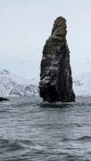 Одинокая морская скала-столб у берегов полуострова, вокруг чайки и суровый прибрежный ландшафт Камчатки.