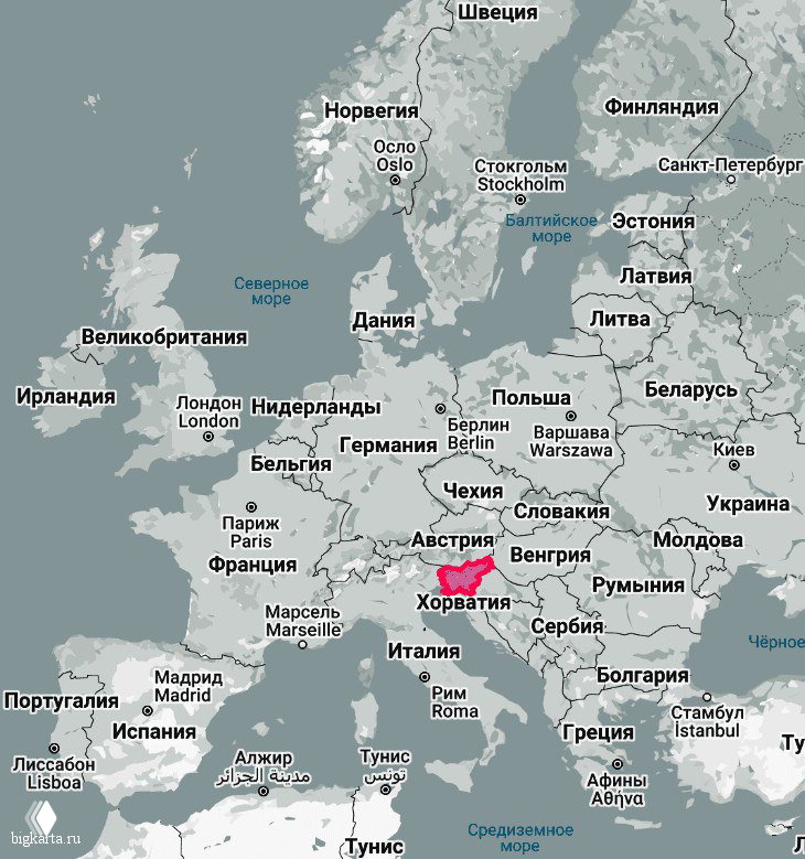 Как строится сотрудничество по Digital Nomad Словении