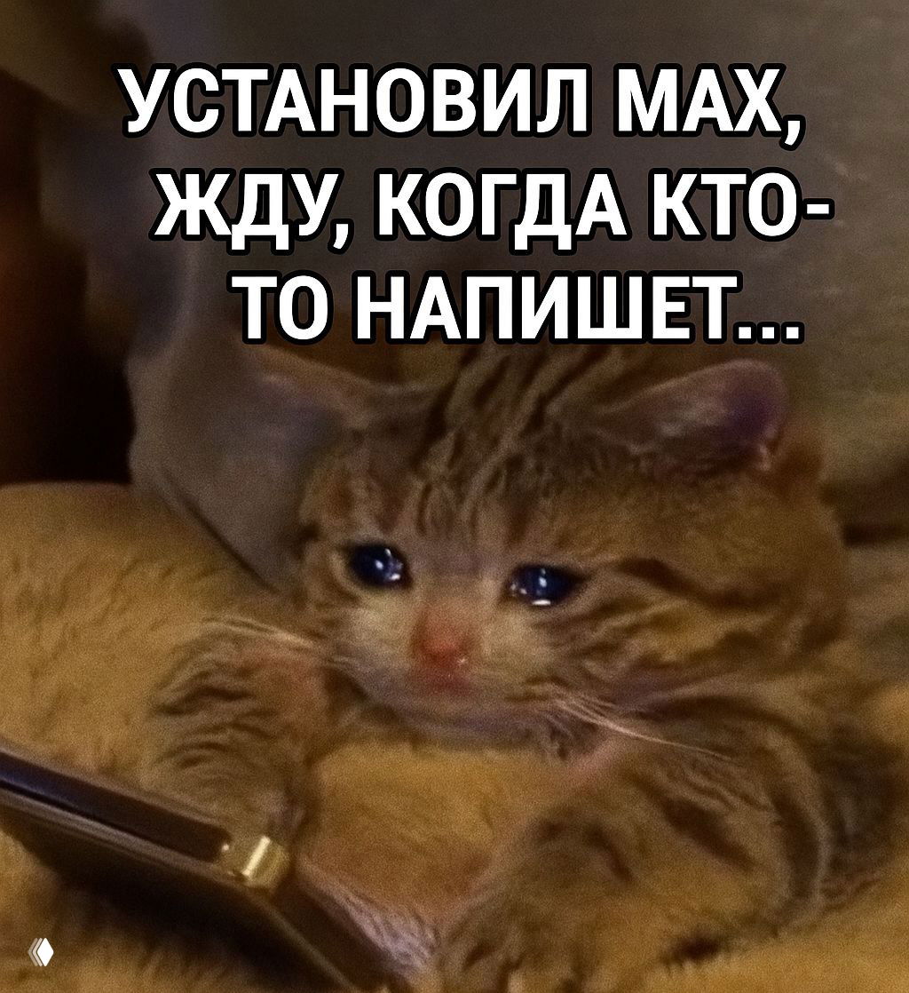 Канал в MAX как инструмент для бизнеса