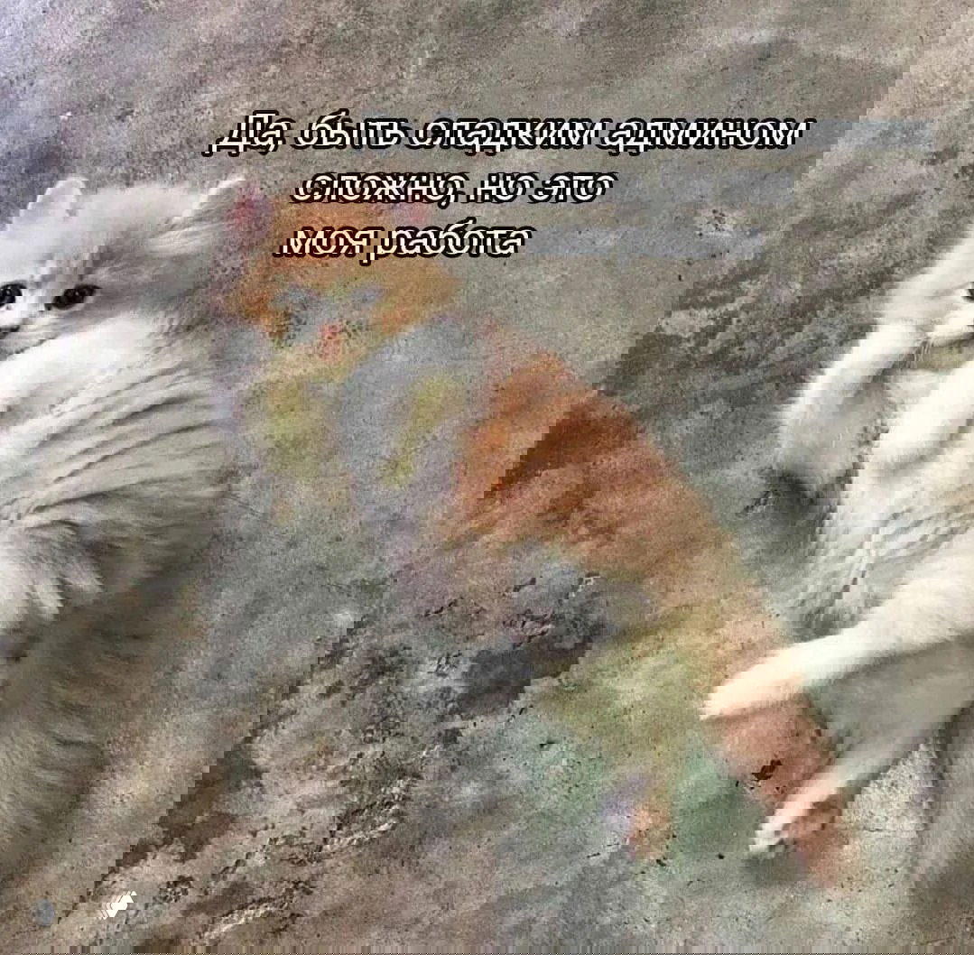 Бот для расшифровки — @WhisperSummaryAI_bot