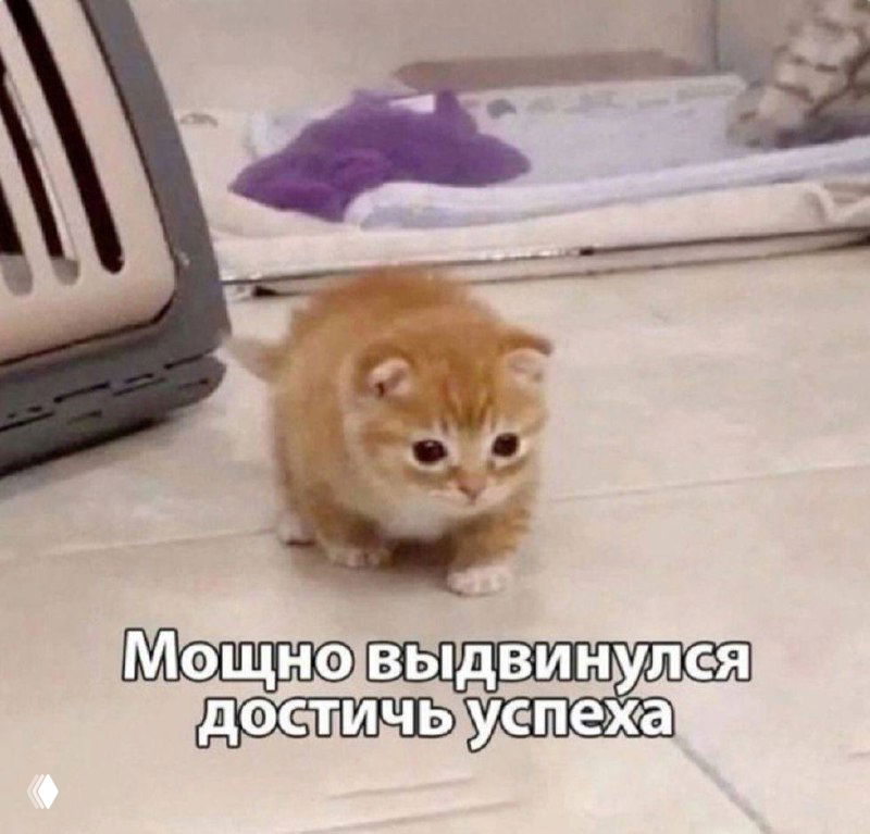 Итоги второй половины марта — цифры и вебинар