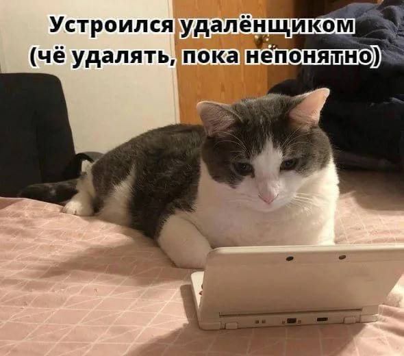 Когда постить? Железные правила для ТГ и МАХ канала