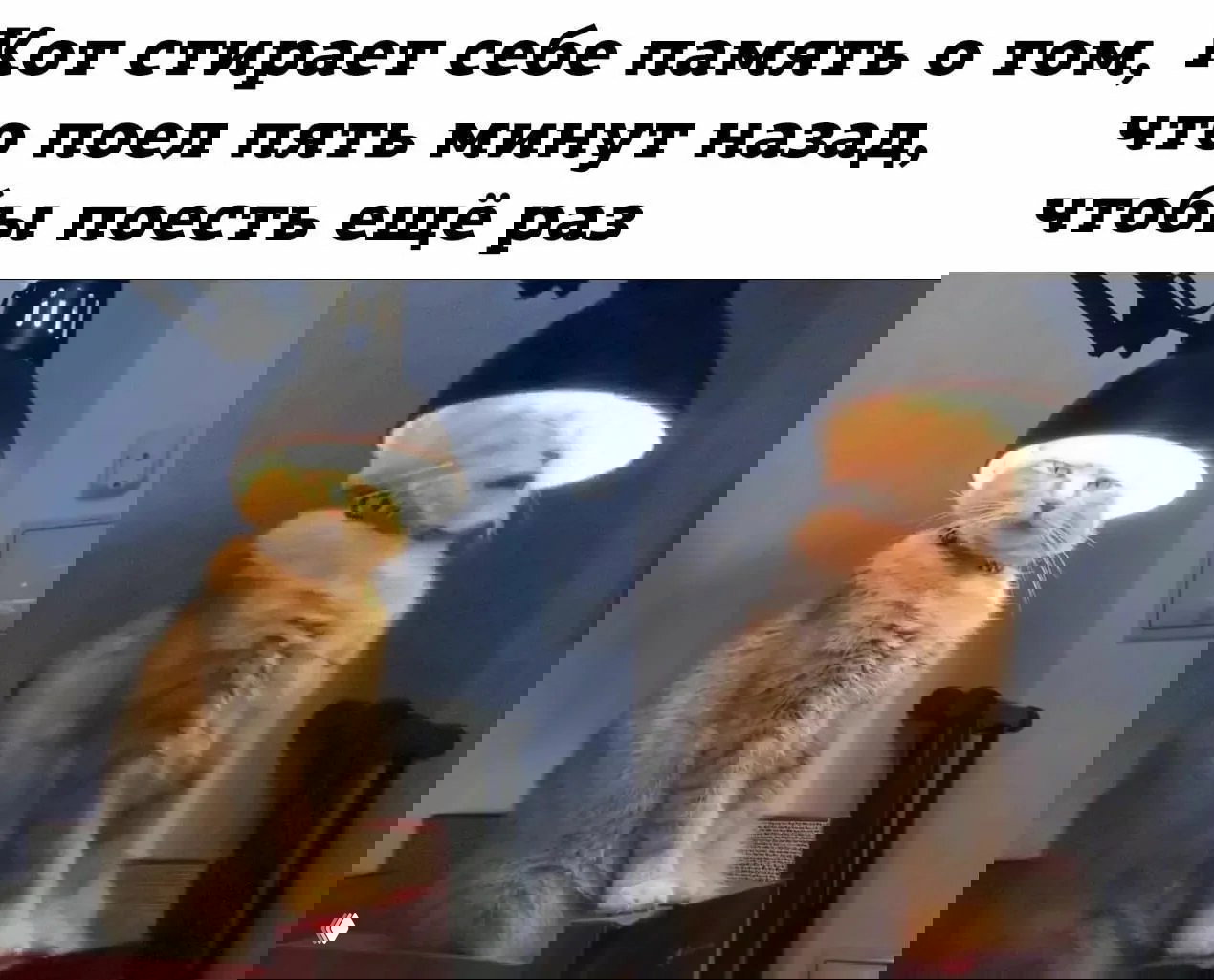 Подборка приложений для тренировки памяти на Android