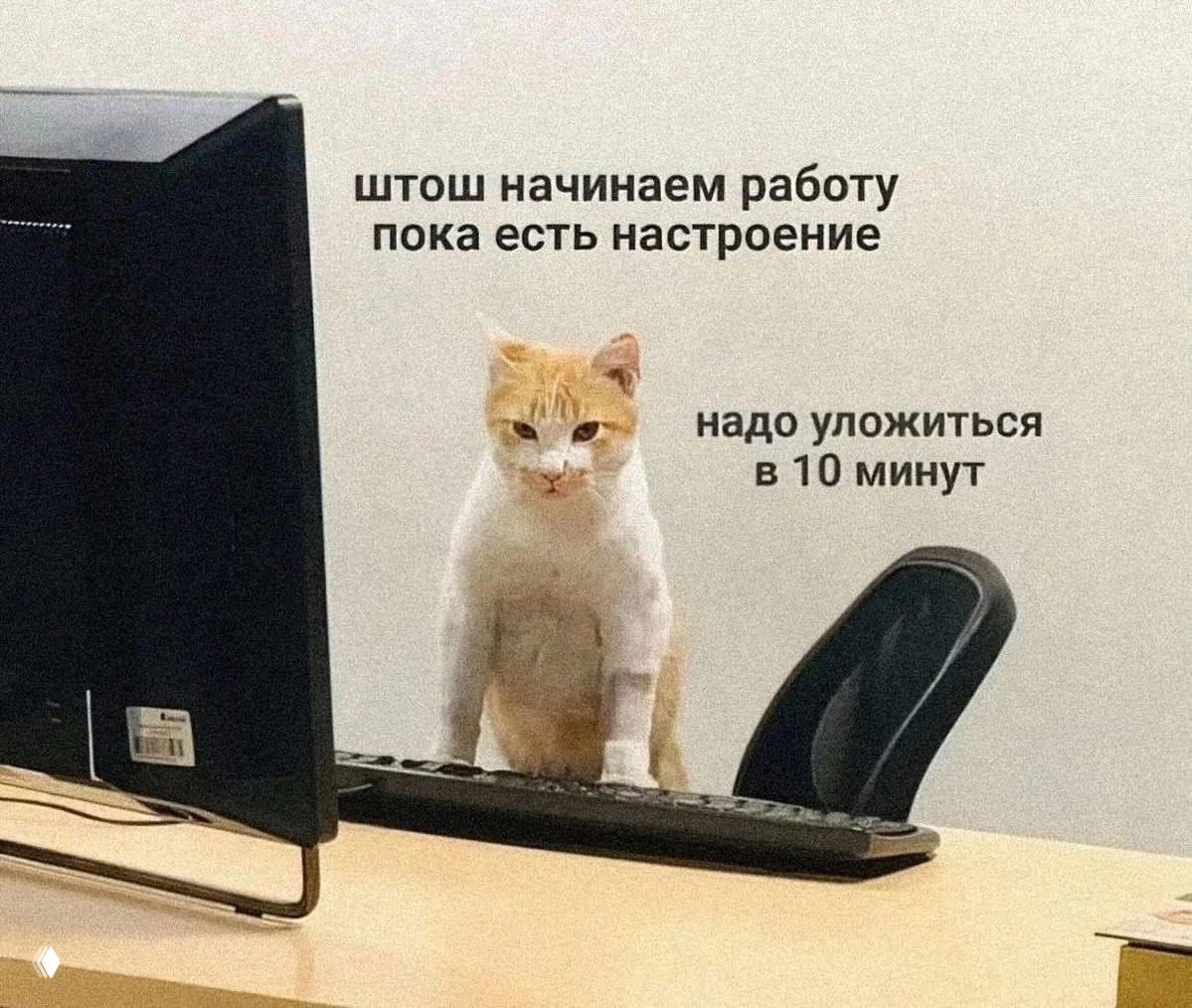 Как продвигать бизнес/блог/канал в Яндексе — 5 инструментов